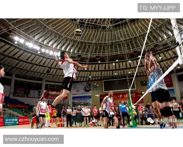 成都排球队灵活性探讨如何提升团队表现与竞技水平